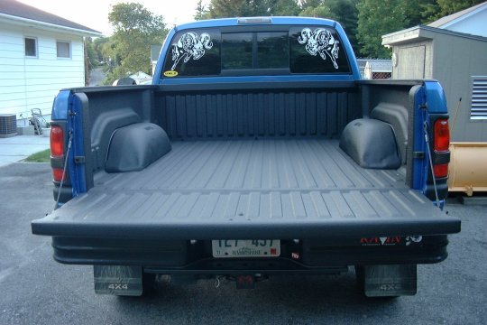 linex.jpg (43756 bytes)